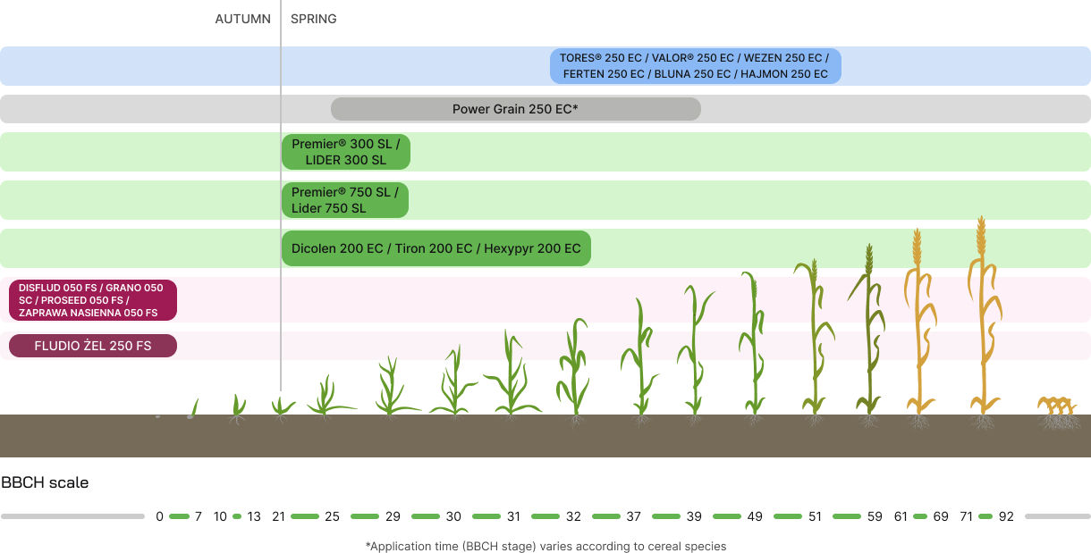 Cereals (PPP) - development phases