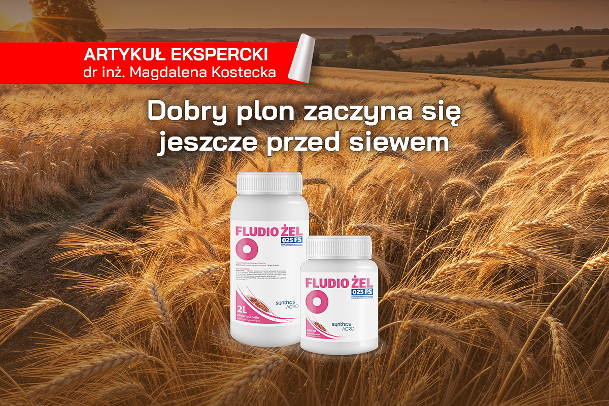 Seed treatment doesn't have to cost a fortune. Discover the solution from Synthos AGRO