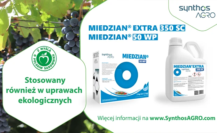 reklama-miedzian-50WP-350SC